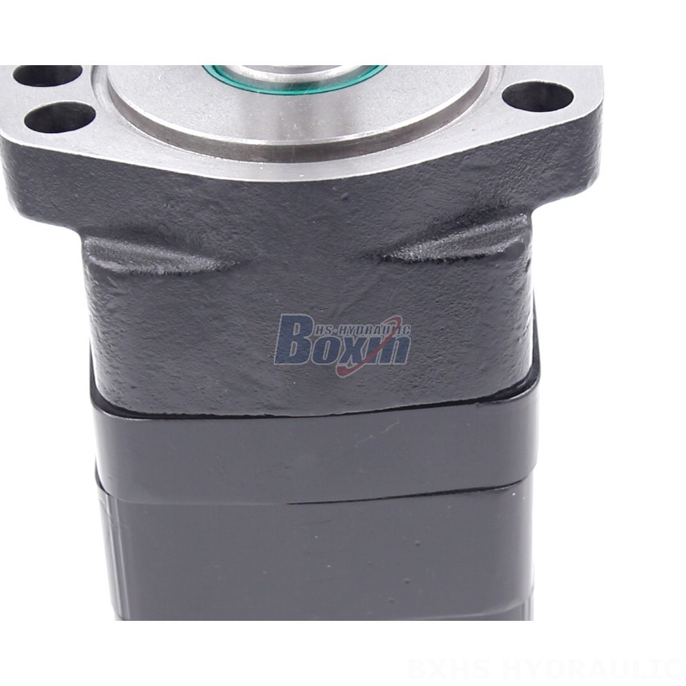 Partnership Opportunities: BMSY Cycloid Hydraulic Motor (100cc/r 50Lpm) detail image